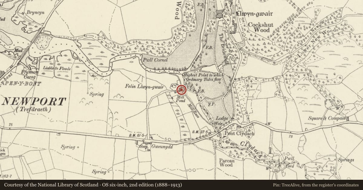 Ordnance Survey six-inch map, 2nd edition (1888–1913) covering the location of Llwyngwair Mill, Newport, Pembrokeshire, with a pin at the register's coordinates