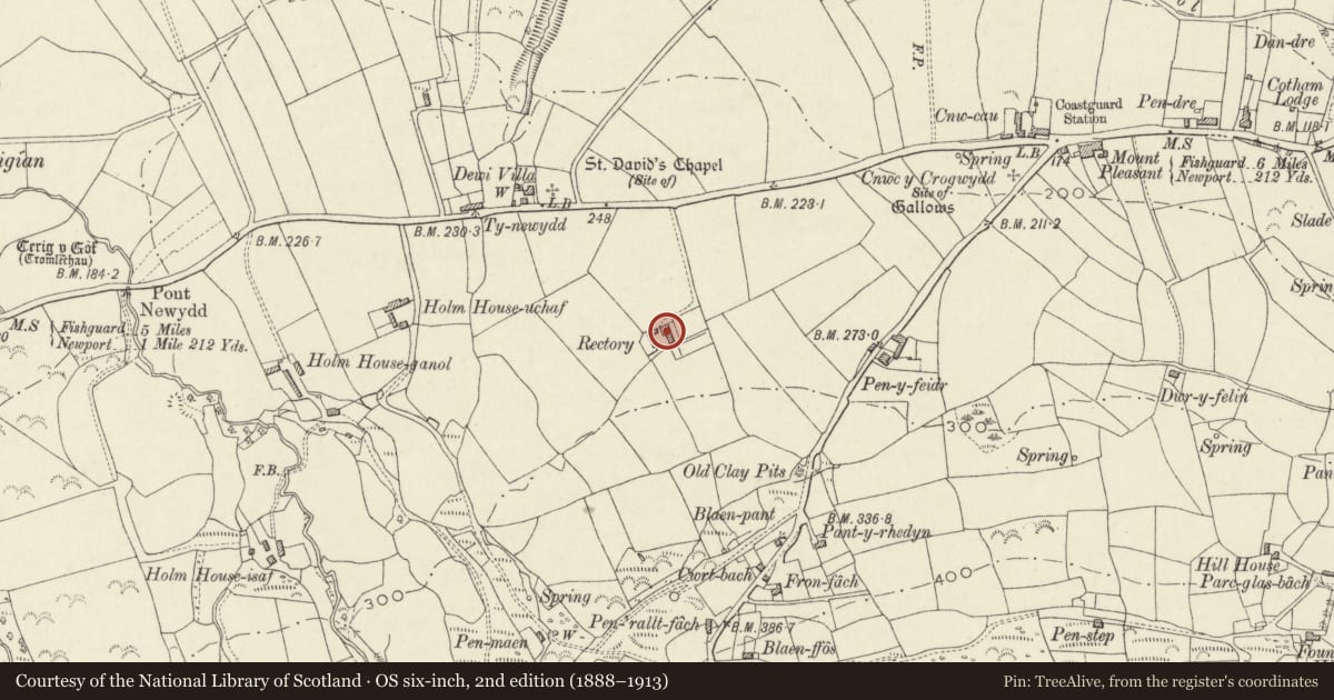 Ordnance Survey six-inch map, 2nd edition (1888–1913) covering the location of Gelli Olau, Newport, Pembrokeshire, with a pin at the register's coordinates