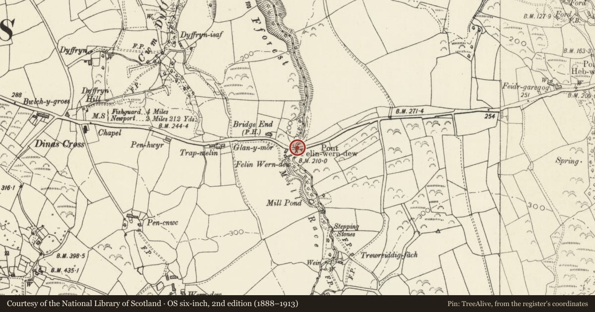 Ordnance Survey six-inch map, 2nd edition (1888–1913) covering the location of Pont Felin-Wern-Dew, Newport, Pembrokeshire, with a pin at the register's coordinates