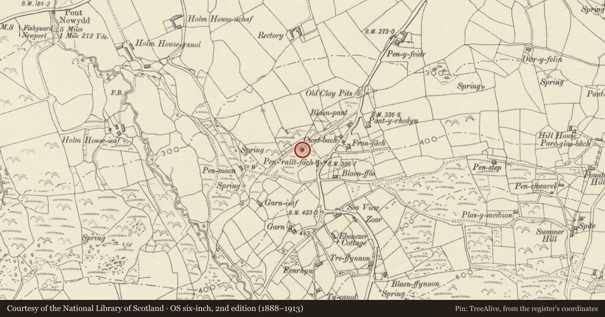 Ordnance Survey six-inch map, 2nd edition (1888–1913) covering the location of The Pound, Newport, Pembrokeshire, with a pin at the register's coordinates