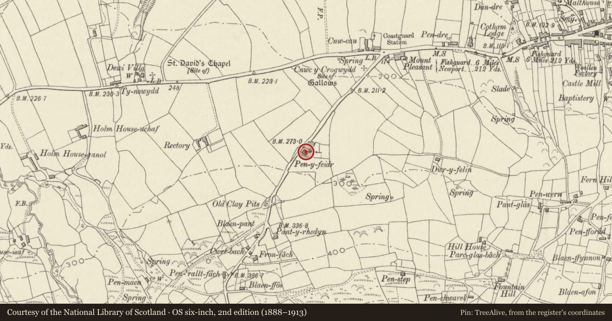 Ordnance Survey six-inch map, 2nd edition (1888–1913) covering the location of Penfeidir, Newport, Pembrokeshire, with a pin at the register's coordinates