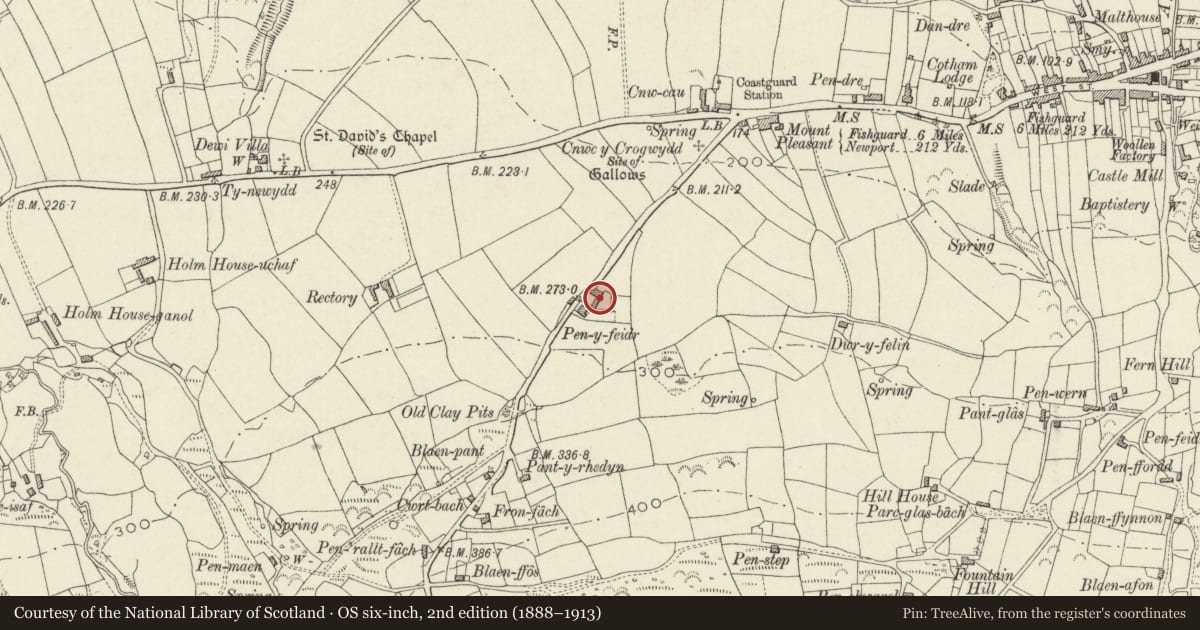 Ordnance Survey six-inch map, 2nd edition (1888–1913) covering the location of Outbuildings to NE.of Penfiedir, Newport, Pembrokeshire, with a pin at the register's coordinates