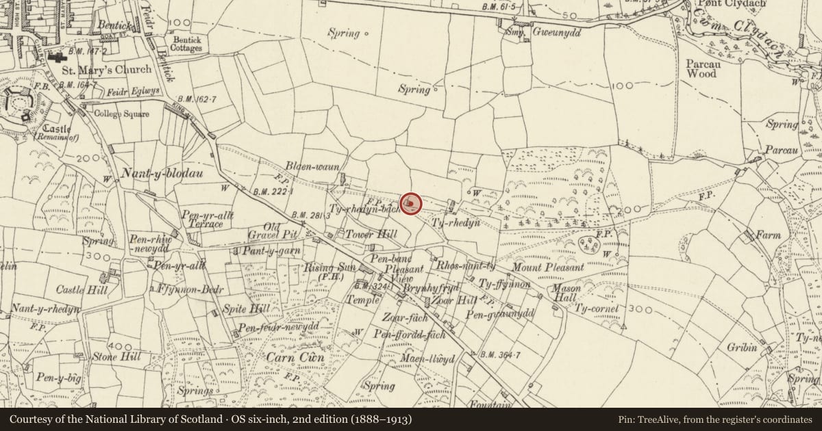 Ordnance Survey six-inch map, 2nd edition (1888–1913) covering the location of Ty'Rhedyn Bach, Newport, Pembrokeshire, with a pin at the register's coordinates