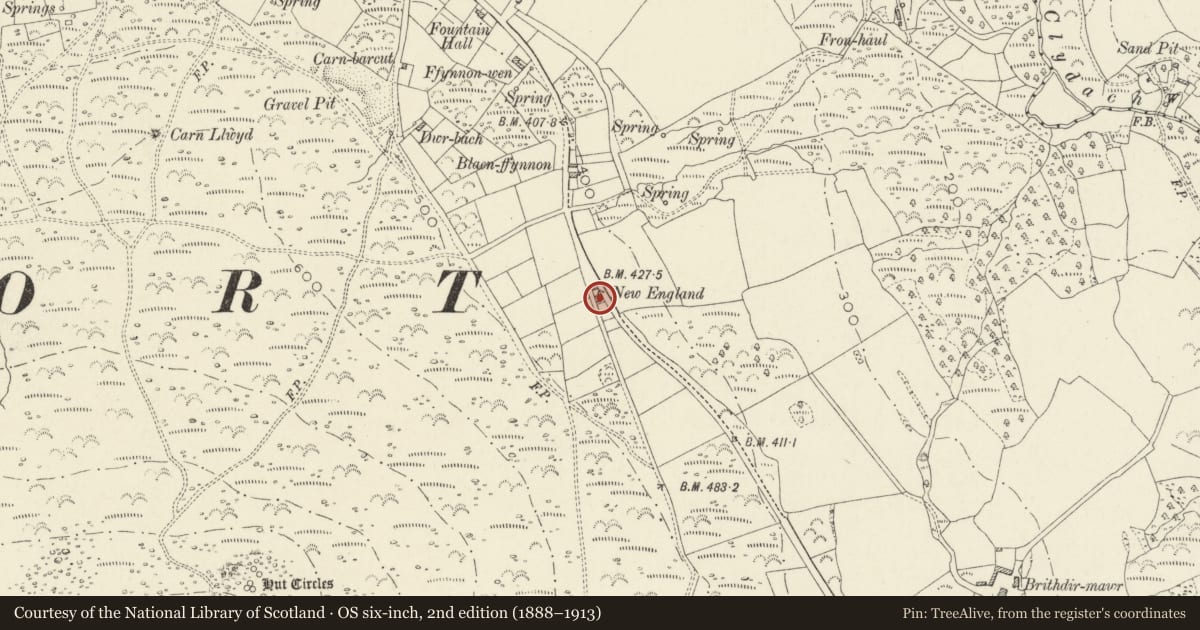 Ordnance Survey six-inch map, 2nd edition (1888–1913) covering the location of New England, Newport, Pembrokeshire, with a pin at the register's coordinates