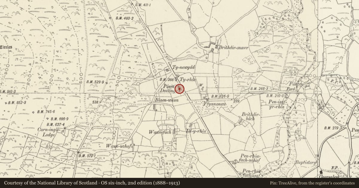 Ordnance Survey six-inch map, 2nd edition (1888–1913) covering the location of Plain Dealings, Newport, Pembrokeshire, with a pin at the register's coordinates