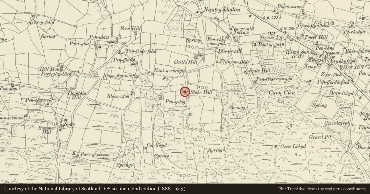 Ordnance Survey six-inch map, 2nd edition (1888–1913) covering the location of Stone Hill, Newport, Pembrokeshire, with a pin at the register's coordinates