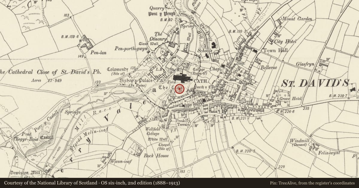 Ordnance Survey six-inch map, 2nd edition (1888–1913) covering the location of Churchyard with Memorials surrounding St. David's Cathedral (Memorials previously listed separately), St. David's and the Cathedral Close, Pembrokeshire, with a pin at the register's coordinates