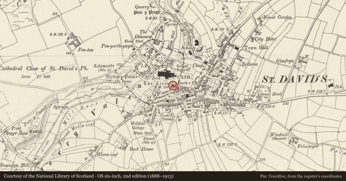Ordnance Survey six-inch map, 2nd edition (1888–1913) covering the location of The 39 Steps (fromerly included as flight of steps leading to St David's Cathedral Yard), St. David's and the Cathedral Close, Pembrokeshire, with a pin at the register's coordinates