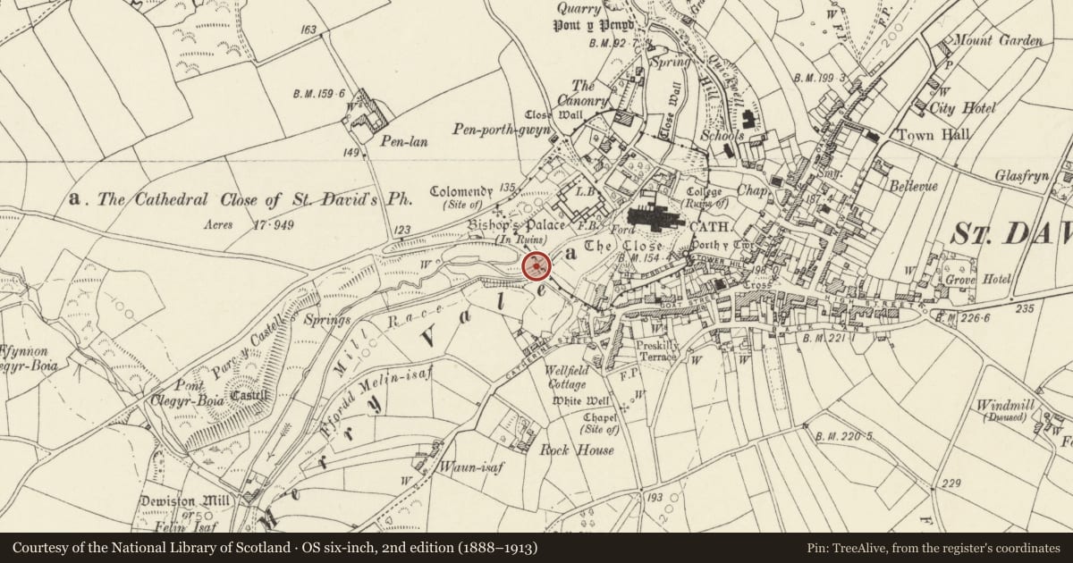 Ordnance Survey six-inch map, 2nd edition (1888–1913) covering the location of Pont Cerwyn Dewi/Merryvale Bridge & attached Tower, St. David's and the Cathedral Close, Pembrokeshire, with a pin at the register's coordinates