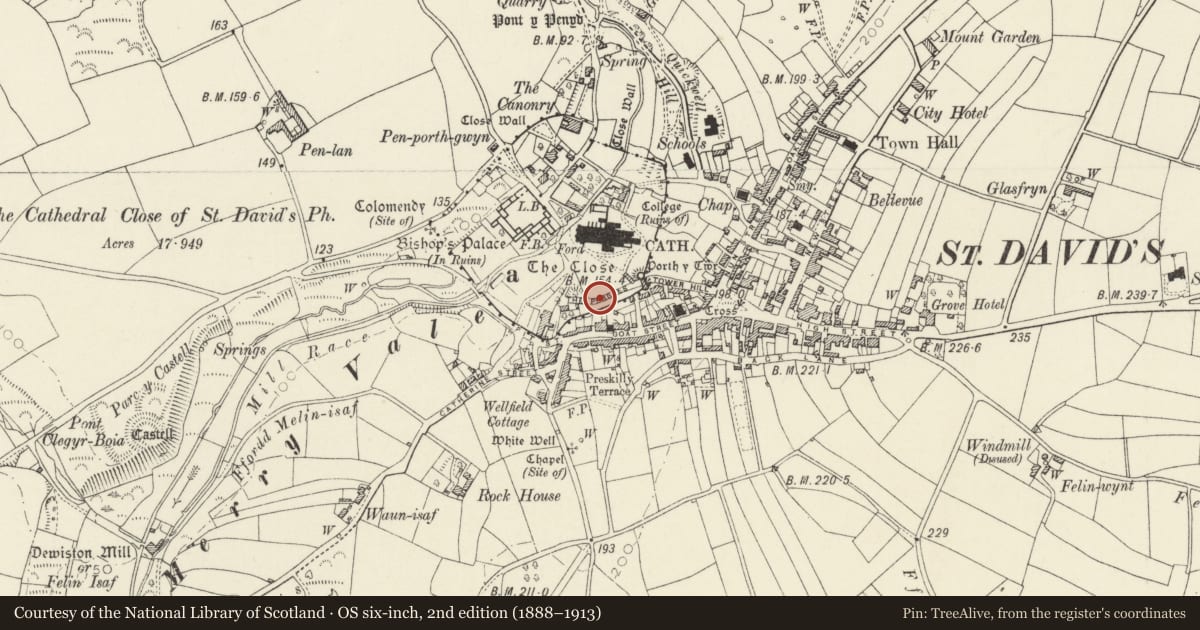 Ordnance Survey six-inch map, 2nd edition (1888–1913) covering the location of Wall along S.Side of the Pebbles, St. David's and the Cathedral Close, Pembrokeshire, with a pin at the register's coordinates