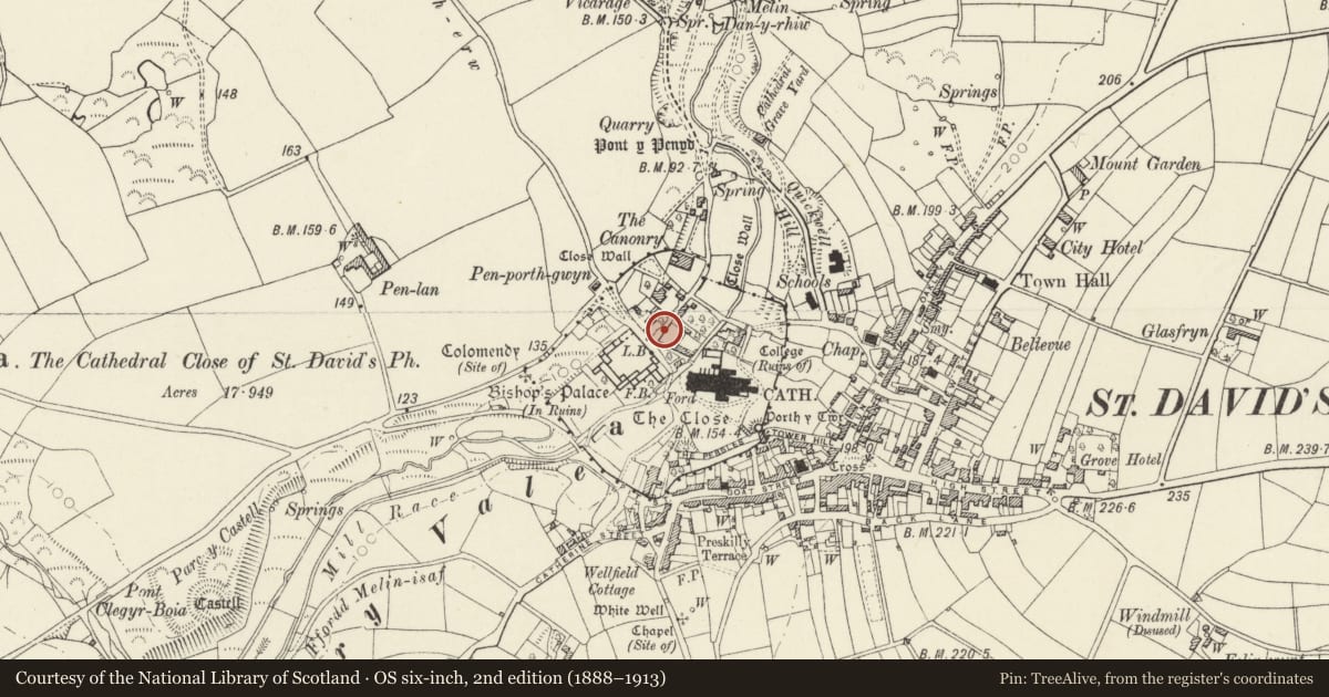 Ordnance Survey six-inch map, 2nd edition (1888–1913) covering the location of Garden Wall between Pen-y-Ffos and the Treasurer's House, St. David's and the Cathedral Close, Pembrokeshire, with a pin at the register's coordinates