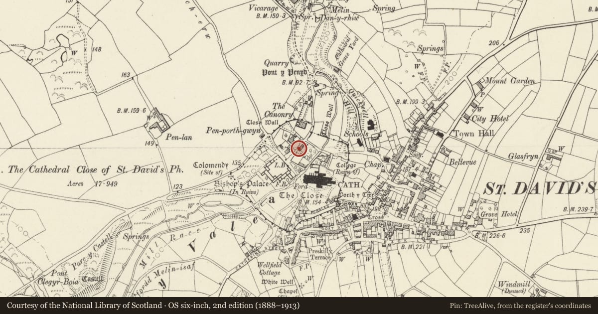 Ordnance Survey six-inch map, 2nd edition (1888–1913) covering the location of Treasurer's House, St. David's and the Cathedral Close, Pembrokeshire, with a pin at the register's coordinates