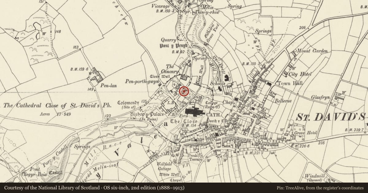 Ordnance Survey six-inch map, 2nd edition (1888–1913) covering the location of Treasury Cottage, St. David's and the Cathedral Close, Pembrokeshire, with a pin at the register's coordinates