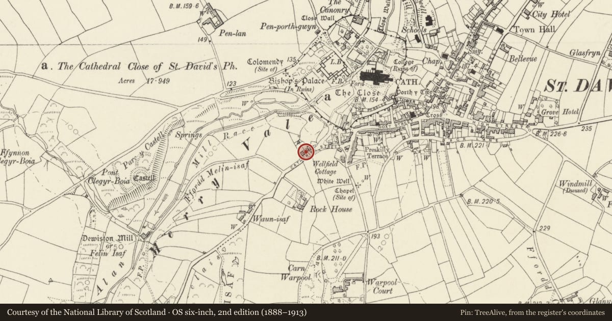 Ordnance Survey six-inch map, 2nd edition (1888–1913) covering the location of Warehouse adjoining No.22 Catherine Street, St. David's and the Cathedral Close, Pembrokeshire, with a pin at the register's coordinates
