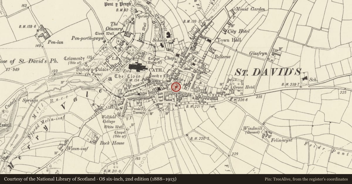 Ordnance Survey six-inch map, 2nd edition (1888–1913) covering the location of The City Cross, St. David's and the Cathedral Close, Pembrokeshire, with a pin at the register's coordinates