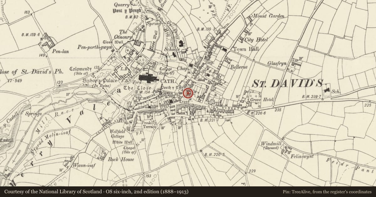 Ordnance Survey six-inch map, 2nd edition (1888–1913) covering the location of Menai, including Garden Walls, Gates & Railings, St. David's and the Cathedral Close, Pembrokeshire, with a pin at the register's coordinates