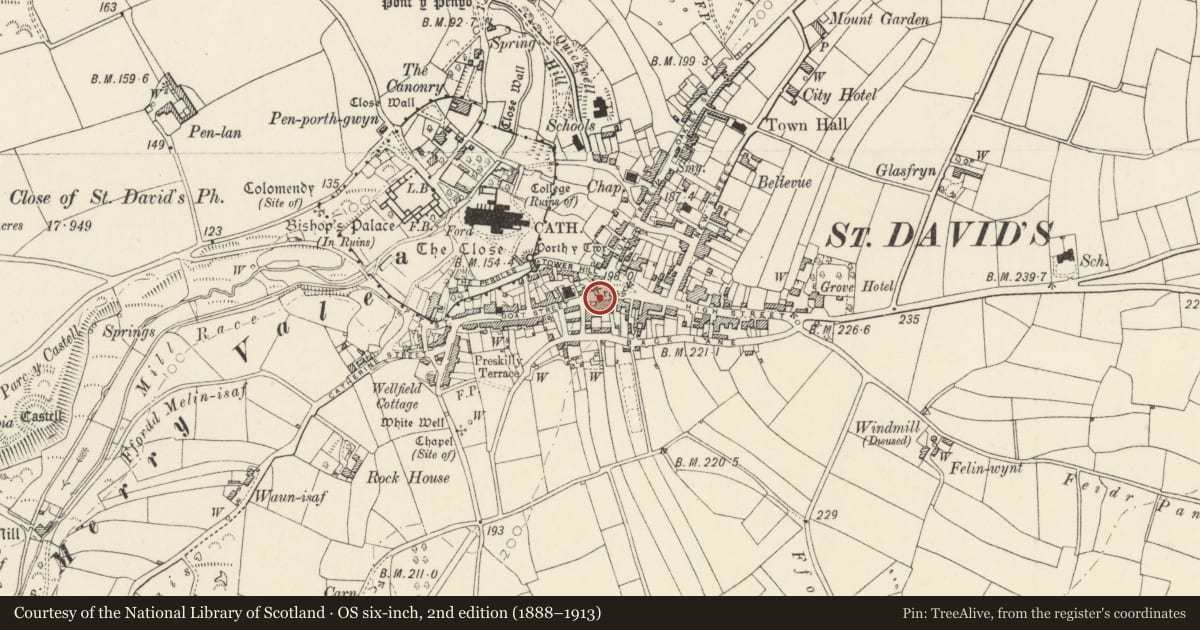 Ordnance Survey six-inch map, 2nd edition (1888–1913) covering the location of Barometer Case against front wall of No. 19 Cross Square, St. David's and the Cathedral Close, Pembrokeshire, with a pin at the register's coordinates