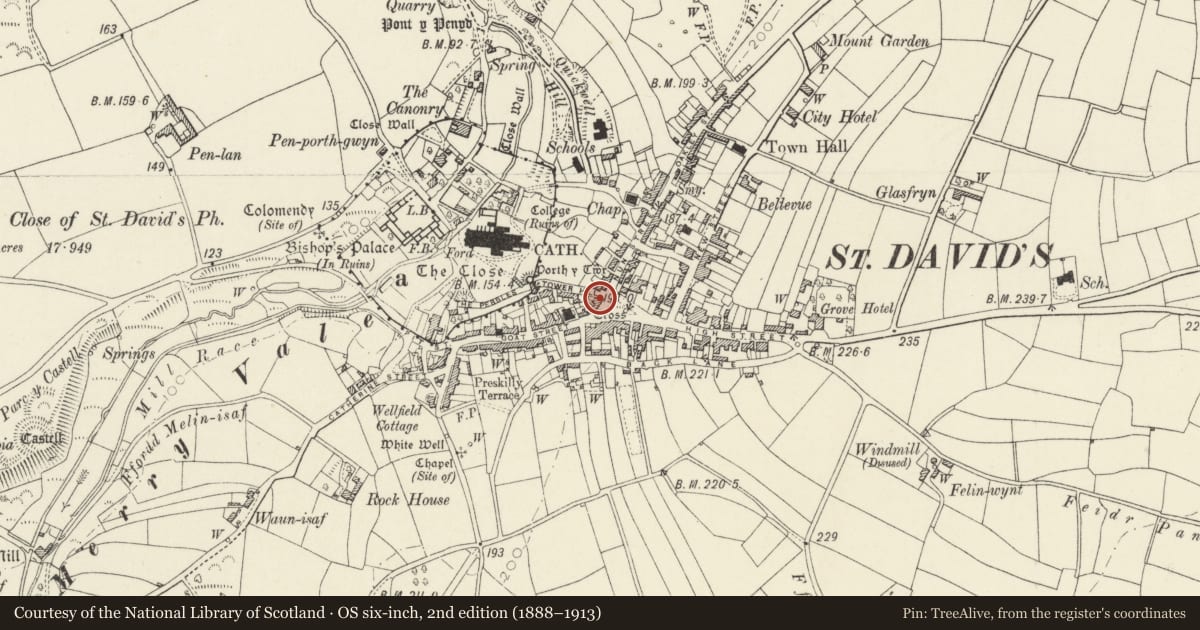Ordnance Survey six-inch map, 2nd edition (1888–1913) covering the location of 24 Cross Square, St. David's and the Cathedral Close, Pembrokeshire, with a pin at the register's coordinates