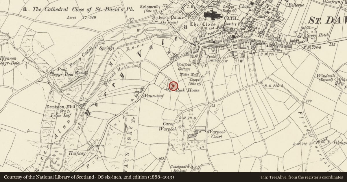 Ordnance Survey six-inch map, 2nd edition (1888–1913) covering the location of Stable to left of Coach House at Y Fagwr, St. David's and the Cathedral Close, Pembrokeshire, with a pin at the register's coordinates
