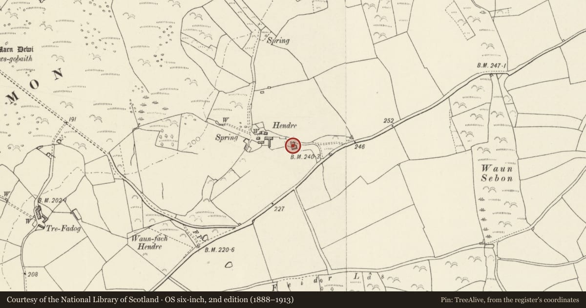 Ordnance Survey six-inch map, 2nd edition (1888–1913) covering the location of Hendre, St. David's and the Cathedral Close, Pembrokeshire, with a pin at the register's coordinates
