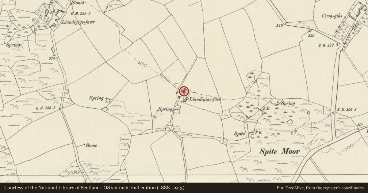 Ordnance Survey six-inch map, 2nd edition (1888–1913) covering the location of Llandidgige Fach, St. David's and the Cathedral Close, Pembrokeshire, with a pin at the register's coordinates