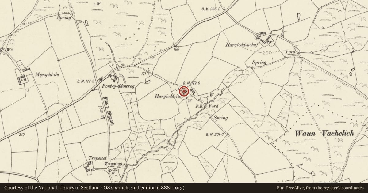 Ordnance Survey six-inch map, 2nd edition (1888–1913) covering the location of Harglodd Isaf/Lower Harglodd, St. David's and the Cathedral Close, Pembrokeshire, with a pin at the register's coordinates
