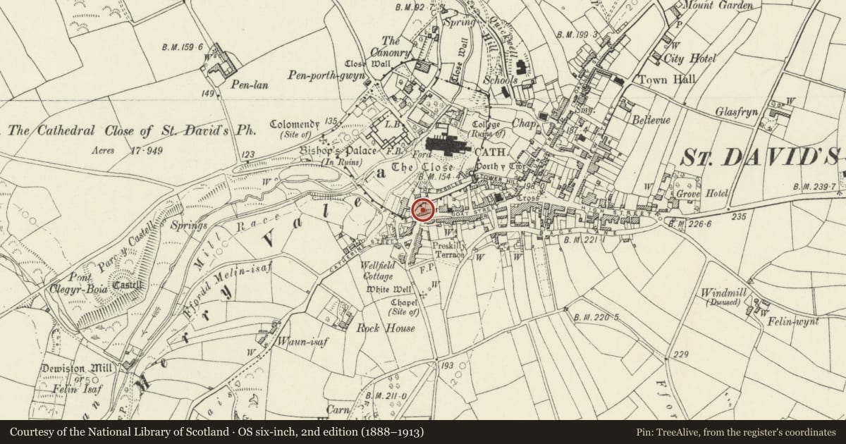 Ordnance Survey six-inch map, 2nd edition (1888–1913) covering the location of Warehouse occupied by St David's Assemblies, St. David's and the Cathedral Close, Pembrokeshire, with a pin at the register's coordinates