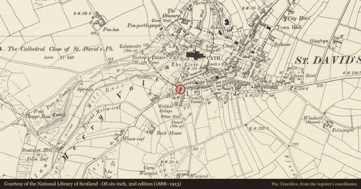 Ordnance Survey six-inch map, 2nd edition (1888–1913) covering the location of Warehouse between Merrivale & No.2 Catherine Street, St. David's and the Cathedral Close, Pembrokeshire, with a pin at the register's coordinates