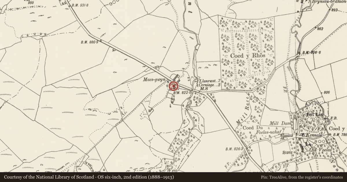 Ordnance Survey six-inch map, 2nd edition (1888–1913) covering the location of Outbuilding at Maes-gwyn, Pentrefoelas, Conwy, with a pin at the register's coordinates