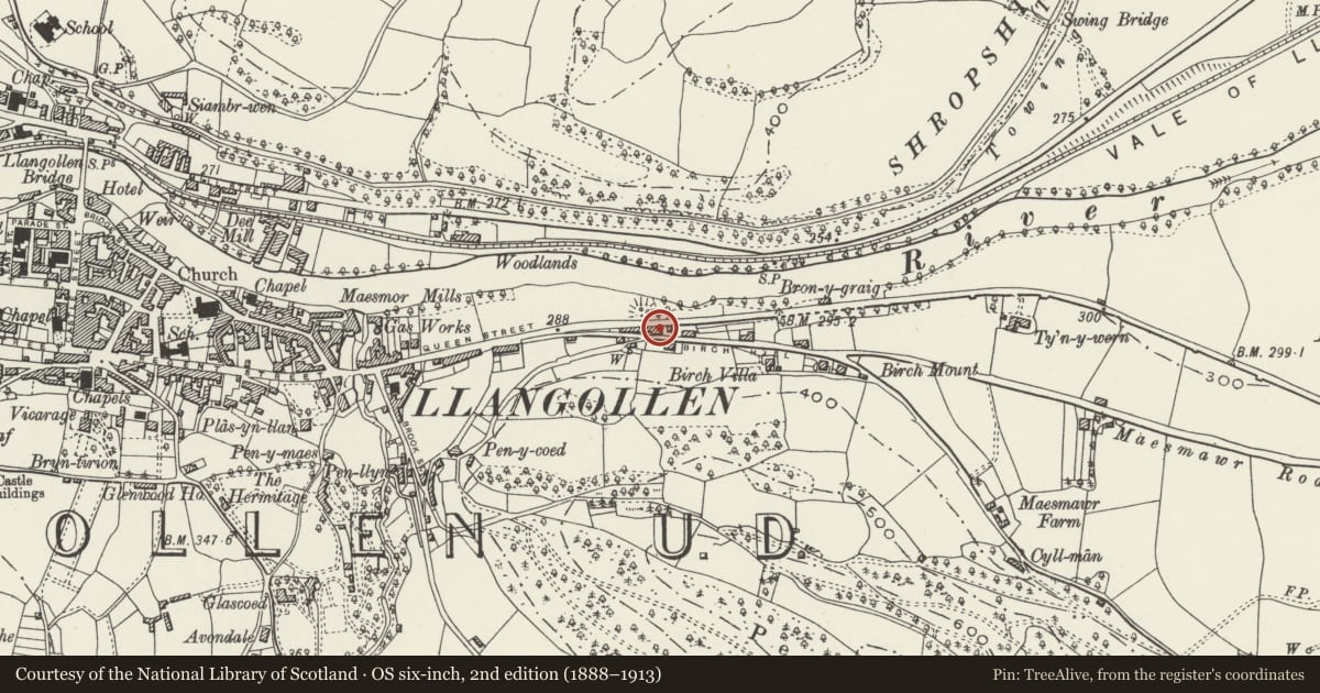 Ordnance Survey six-inch map, 2nd edition (1888–1913) covering the location of Cerrig, Llangollen, Denbighshire, with a pin at the register's coordinates