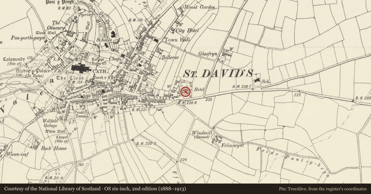 Ordnance Survey six-inch map, 2nd edition (1888–1913) covering the location of Walls of Wallled Garden at The Grove Hotel, St. David's and the Cathedral Close, Pembrokeshire, with a pin at the register's coordinates