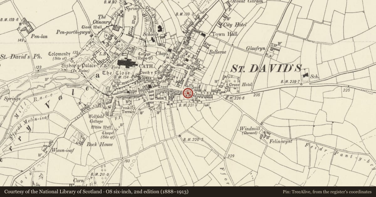 Ordnance Survey six-inch map, 2nd edition (1888–1913) covering the location of 18 High Street, St. David's and the Cathedral Close, Pembrokeshire, with a pin at the register's coordinates