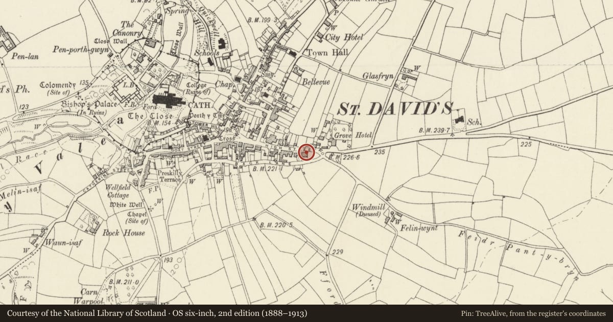 Ordnance Survey six-inch map, 2nd edition (1888–1913) covering the location of 46 High Street, St. David's and the Cathedral Close, Pembrokeshire, with a pin at the register's coordinates