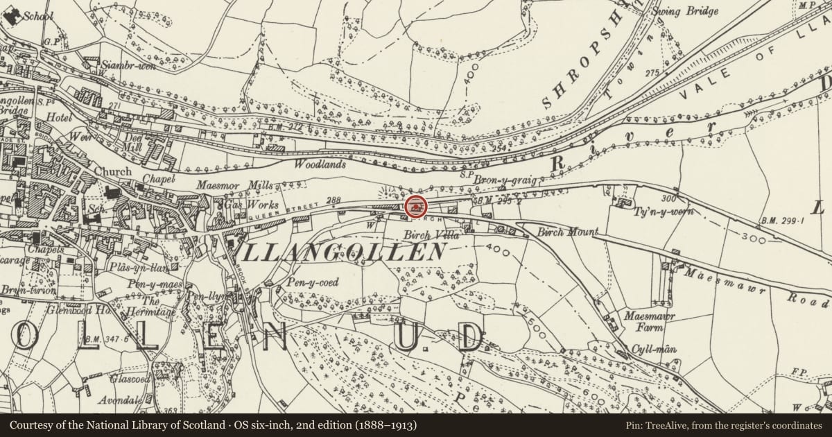Ordnance Survey six-inch map, 2nd edition (1888–1913) covering the location of Armstrong Towers, Llangollen, Denbighshire, with a pin at the register's coordinates