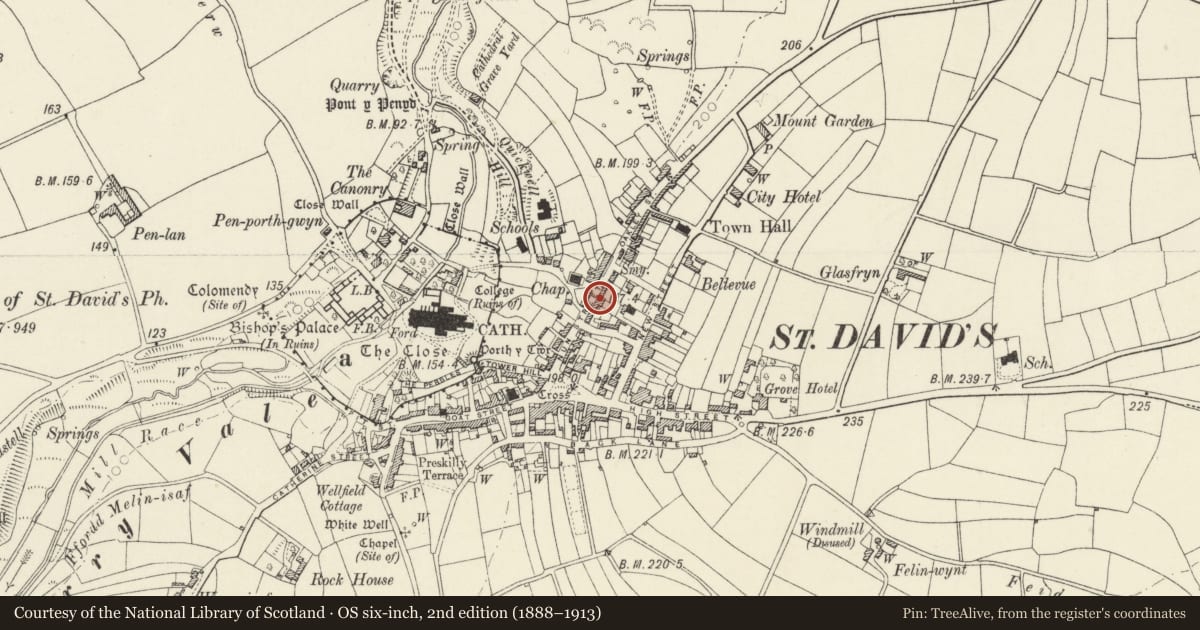 Ordnance Survey six-inch map, 2nd edition (1888–1913) covering the location of Pen y Daith, St. David's and the Cathedral Close, Pembrokeshire, with a pin at the register's coordinates
