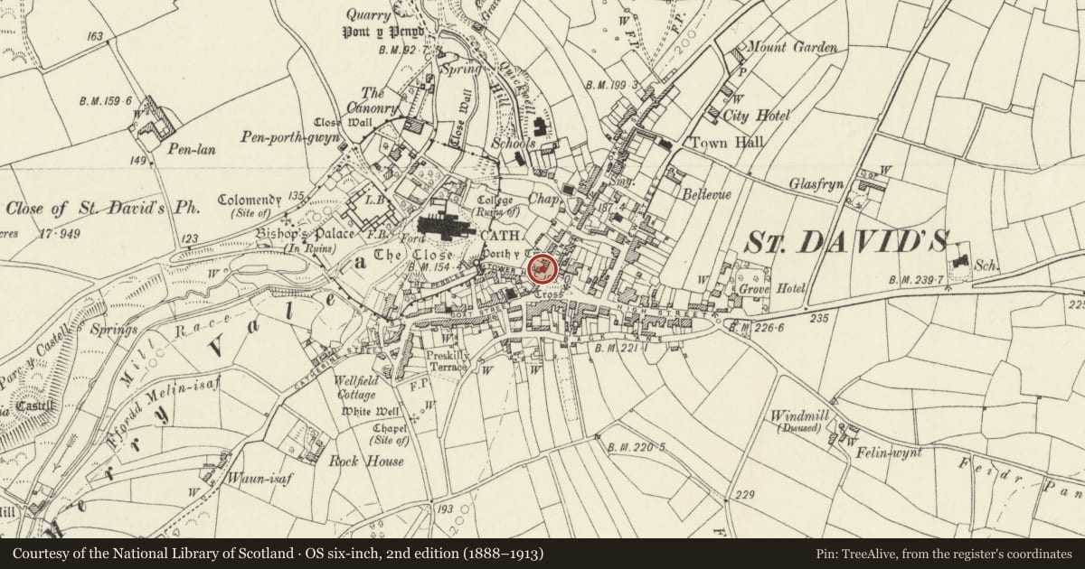 Ordnance Survey six-inch map, 2nd edition (1888–1913) covering the location of 1 Nun Street, St. David's and the Cathedral Close, Pembrokeshire, with a pin at the register's coordinates
