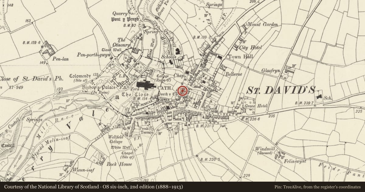 Ordnance Survey six-inch map, 2nd edition (1888–1913) covering the location of No.3 Cathedral Villas, St. David's and the Cathedral Close, Pembrokeshire, with a pin at the register's coordinates