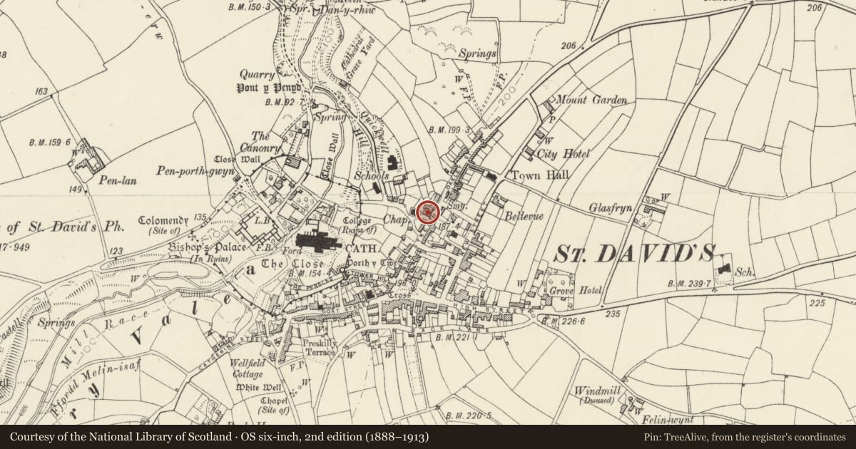 Ordnance Survey six-inch map, 2nd edition (1888–1913) covering the location of Fossil House, St. David's and the Cathedral Close, Pembrokeshire, with a pin at the register's coordinates