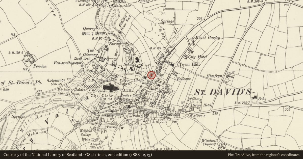 Ordnance Survey six-inch map, 2nd edition (1888–1913) covering the location of No.43 Royal Terrace, St. David's and the Cathedral Close, Pembrokeshire, with a pin at the register's coordinates
