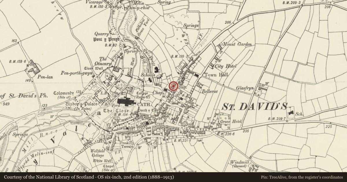 Ordnance Survey six-inch map, 2nd edition (1888–1913) covering the location of No.45 Royal Terrace, St. David's and the Cathedral Close, Pembrokeshire, with a pin at the register's coordinates