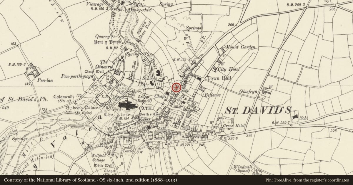 Ordnance Survey six-inch map, 2nd edition (1888–1913) covering the location of No.49 Royal Terrace, St. David's and the Cathedral Close, Pembrokeshire, with a pin at the register's coordinates