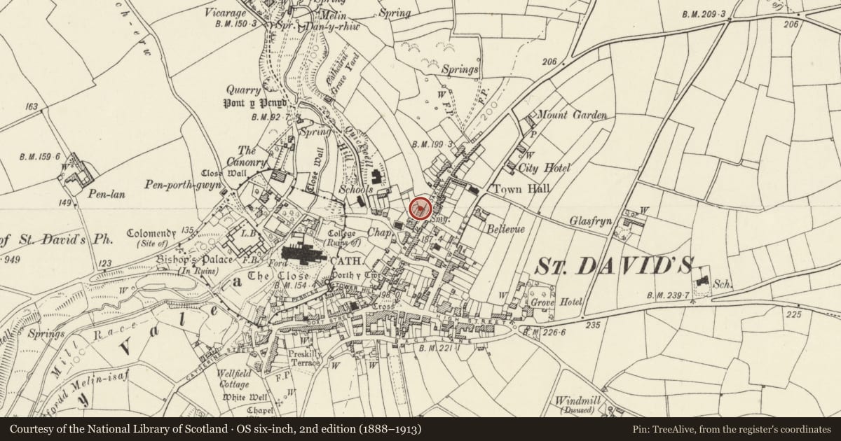Ordnance Survey six-inch map, 2nd edition (1888–1913) covering the location of No.51 Royal Terrace, St. David's and the Cathedral Close, Pembrokeshire, with a pin at the register's coordinates