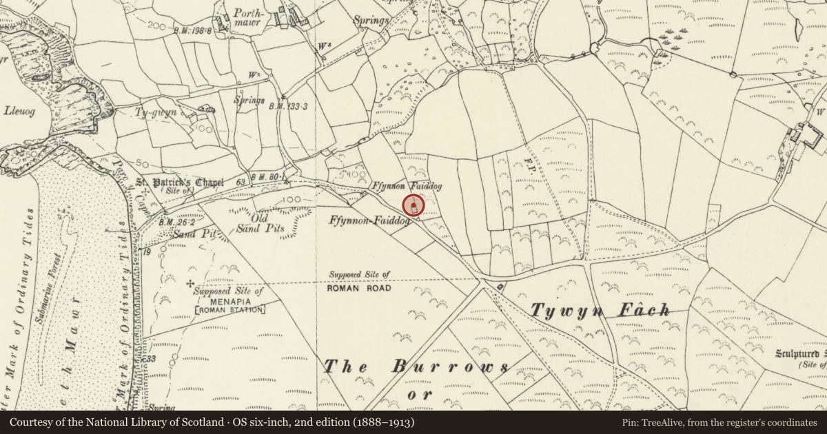 Ordnance Survey six-inch map, 2nd edition (1888–1913) covering the location of Ffynnon Faiddog, St. David's and the Cathedral Close, Pembrokeshire, with a pin at the register's coordinates
