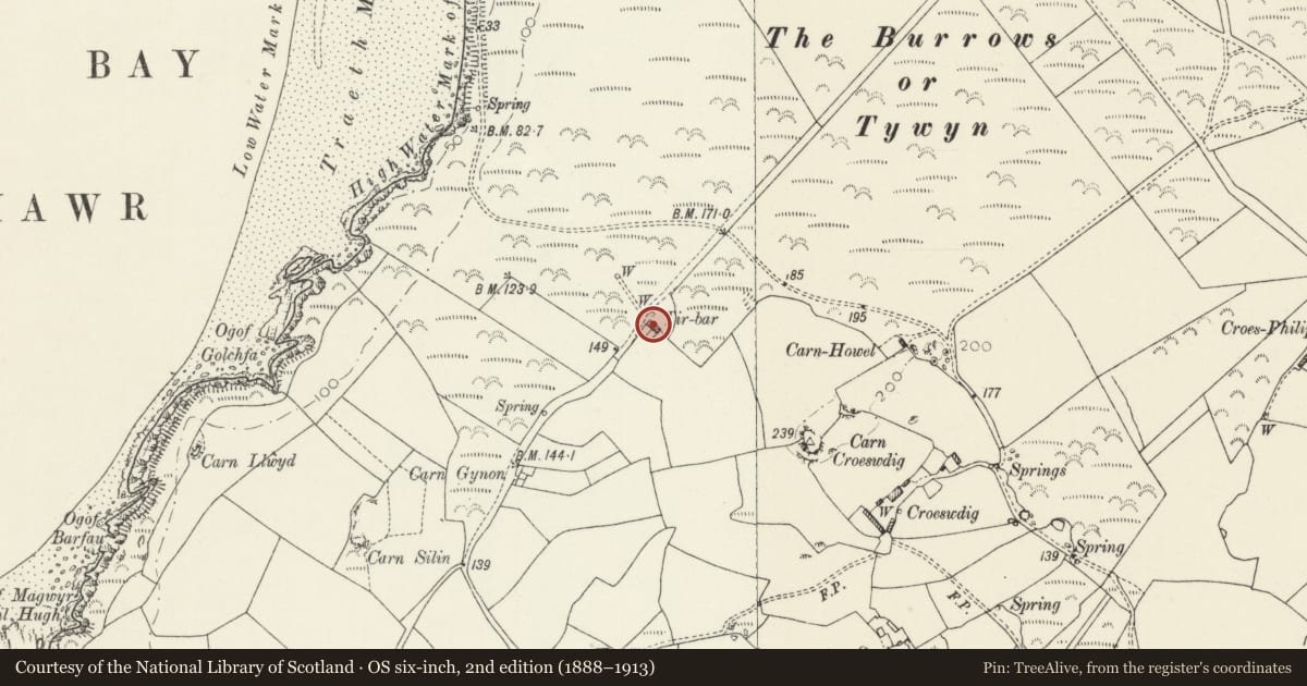 Ordnance Survey six-inch map, 2nd edition (1888–1913) covering the location of Plyg Y Tywyn, St. David's and the Cathedral Close, Pembrokeshire, with a pin at the register's coordinates