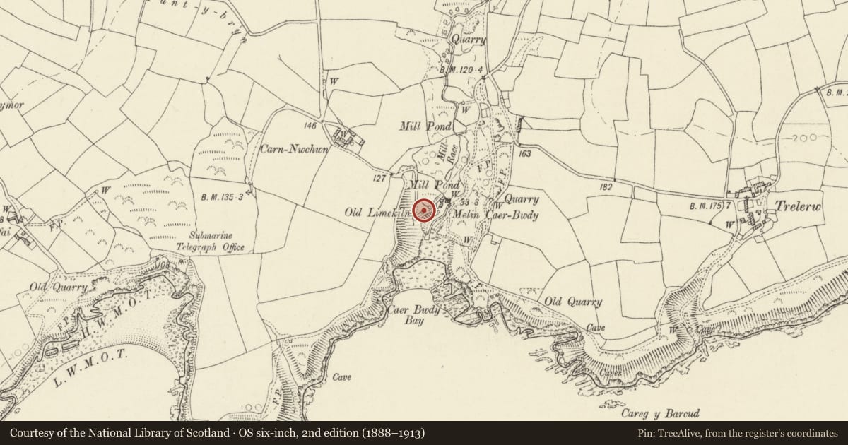 Ordnance Survey six-inch map, 2nd edition (1888–1913) covering the location of Limekiln to SW.of ruins of Caerbwdy Mill, St. David's and the Cathedral Close, Pembrokeshire, with a pin at the register's coordinates