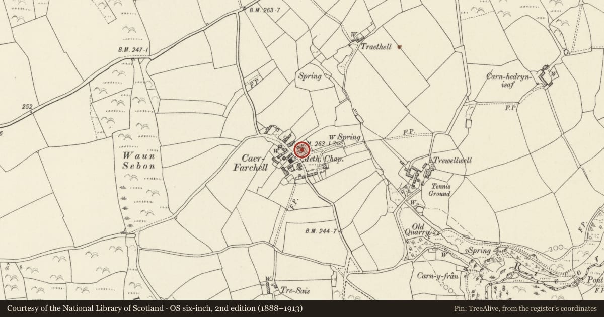 Ordnance Survey six-inch map, 2nd edition (1888–1913) covering the location of Caer Farchell Farmhouse, including rear court with seat, St. David's and the Cathedral Close, Pembrokeshire, with a pin at the register's coordinates