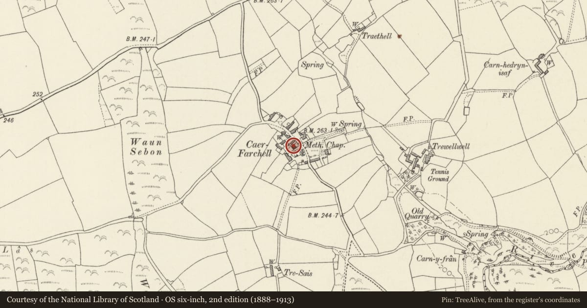 Ordnance Survey six-inch map, 2nd edition (1888–1913) covering the location of Capel Caerfarchell & Outbuilding to NE corner of Forecourt, St. David's and the Cathedral Close, Pembrokeshire, with a pin at the register's coordinates