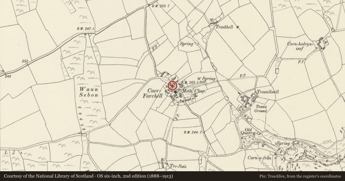 Ordnance Survey six-inch map, 2nd edition (1888–1913) covering the location of The Manse, including Pigsty attached at N.End, St. David's and the Cathedral Close, Pembrokeshire, with a pin at the register's coordinates