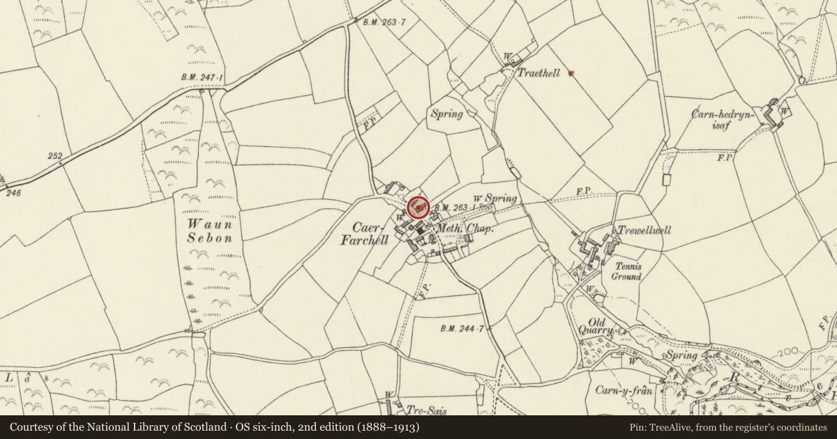 Ordnance Survey six-inch map, 2nd edition (1888–1913) covering the location of Hamilton House, St. David's and the Cathedral Close, Pembrokeshire, with a pin at the register's coordinates