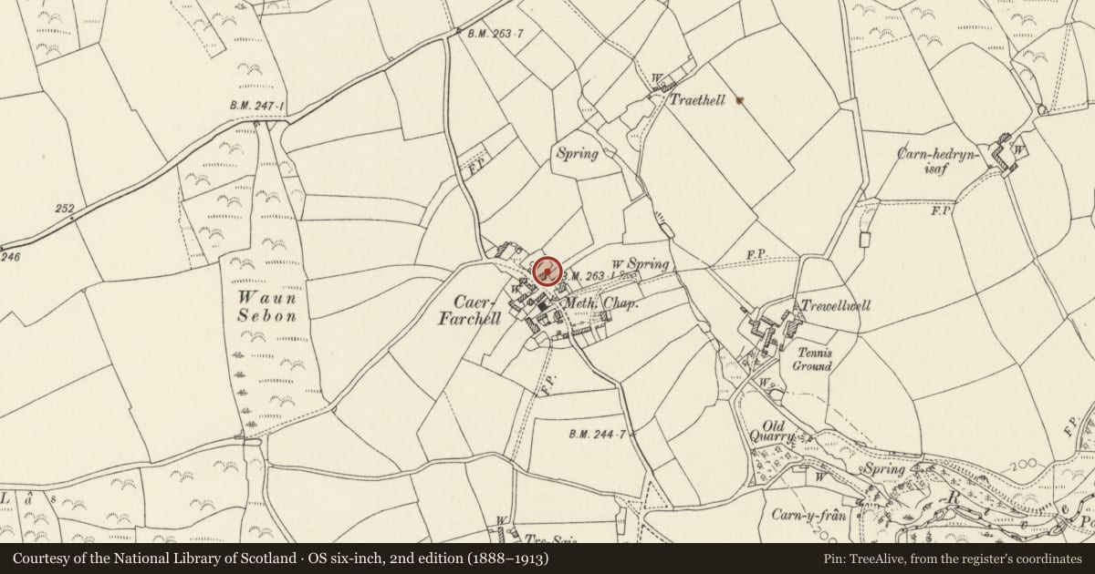 Ordnance Survey six-inch map, 2nd edition (1888–1913) covering the location of Outbuilding to E. of Hamilton House, St. David's and the Cathedral Close, Pembrokeshire, with a pin at the register's coordinates